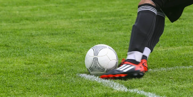 Europei di calcio 2024: il cane veggente